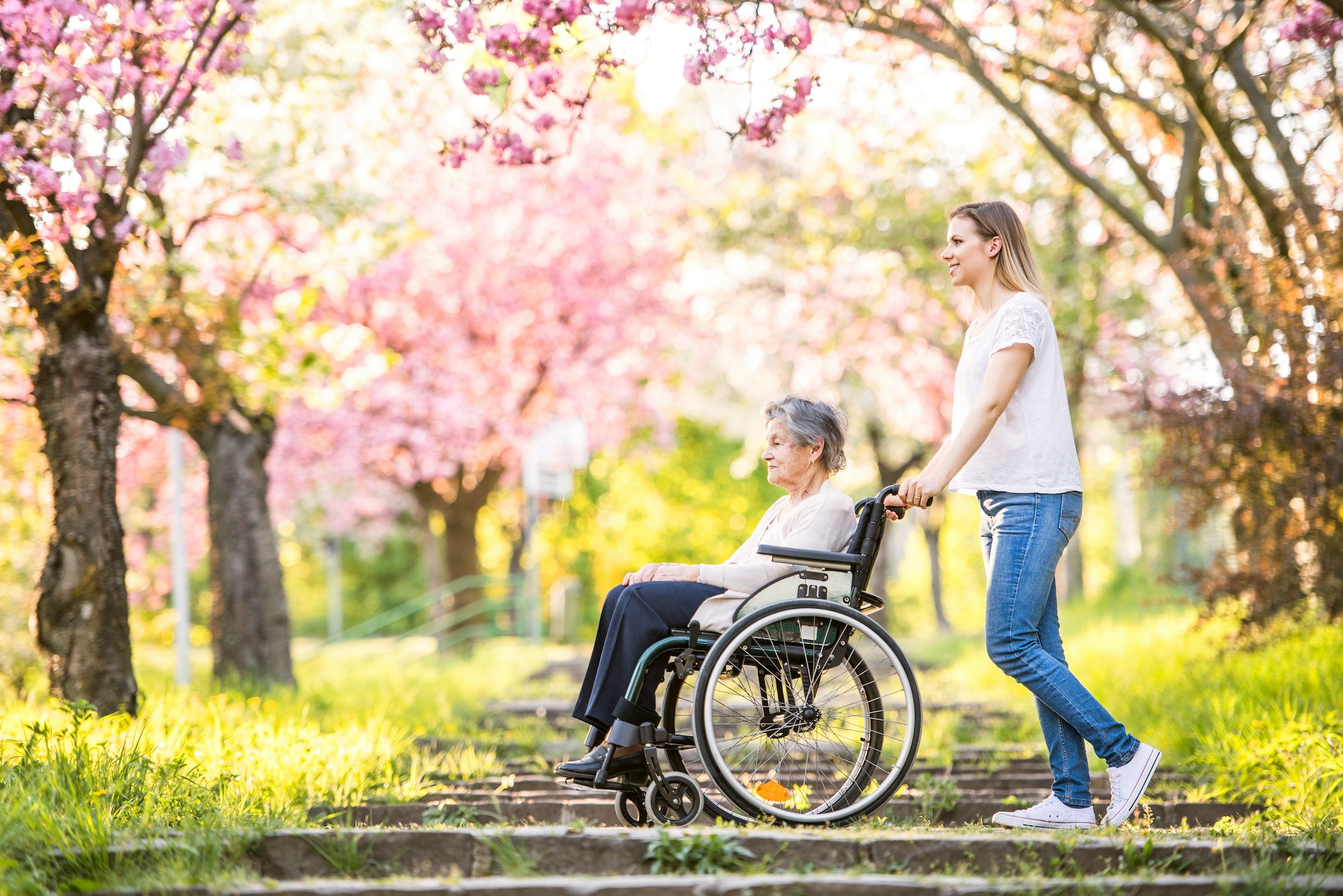 Elderly grandmother in wheelchair with granddaughter in spring nature.